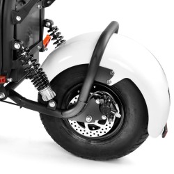 Scooter électrique BIG BROSS batterie Lithium vitesse max 40 km/h