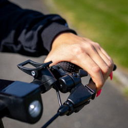 Trottinette électrique pliable 350 W avec vitesse max de 25 km/h et autonomie de 30 km - Roues 8,5"