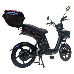 Scooter électrique sans permis 250 W avec autonomie de 45 km - Vitesse maximale 25 km/h