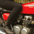 Legging résistant de moto pour femmes oxford avec protections certifiées et doublure confortable