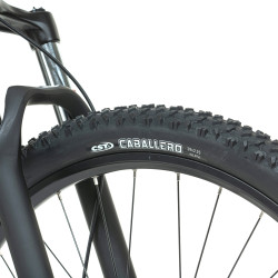 Vélo de montagne électrique avec roues de 29" et freins hydraulique - Batterie 630 W à portée de 150 km et moteur 250 W