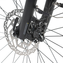 Vélo électrique de ville 28" autonome jusqu'à 150 km avec moteur 250 W et 5 modes d'assistance