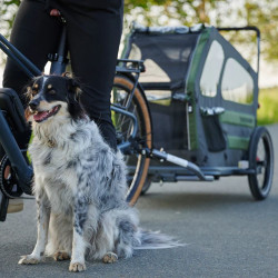 Remorque de vélo pour enfant ou animal de compagnie avec pare-soleil et fenêtres en plastique transparent