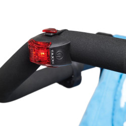 Remorque de vélo 2 places pour enfants avec supports de tête et ceintures de sécurité - Poussette tout-terrain et pliable