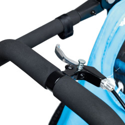 Remorque de vélo 2 places pour enfants avec supports de tête et ceintures de sécurité - Poussette tout-terrain et pliable