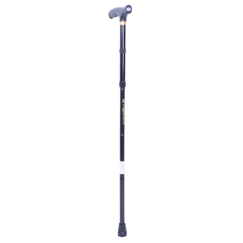Bâton de trekking