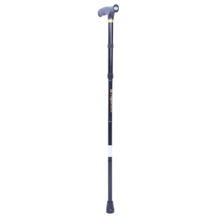 Bâton de trekking
