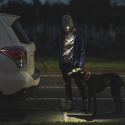 Lampe frontale de course Knog Quokka Run - Plusieurs intensité de lumières