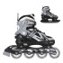 Patins de glisse 2 en 1 pour amateurs de asphalte et de glace