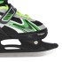 Patins 2 en 1 taille ajustable pour les amateurs d'asphalte et de glace design noir et vert