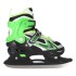 Patins 2 en 1 taille ajustable pour les amateurs d'asphalte et de glace design noir et vert
