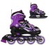 Patins de glisse double usage pour amateurs de asphalte et de glace