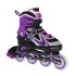 Patins 2 en 1 taille ajustable pour les amateurs d'asphalte et de glace design noir et violet