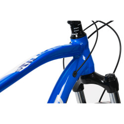 Vélo de montagne adulte 19" ou 20.5" - Bleu brillant