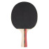 Set de tennis de table - 4 Raquettes -  3 balles de ping-pong