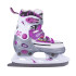 Patins à roulettes 2-en-1 - Patins à glace remplaçable - ABEC 5
