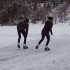 Patins à roulettes et patins à glace 2-en-1 - Rollers confortables