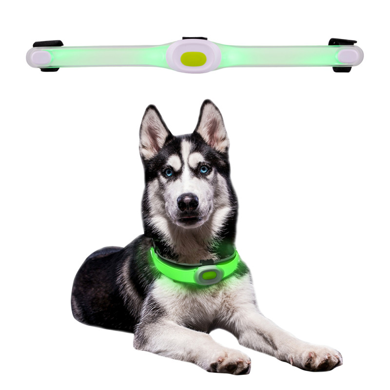 Collier pour chien avec lumières LED