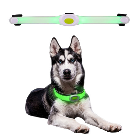 Collier pour chien avec lumières LED