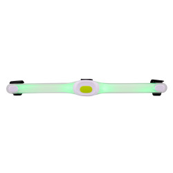 Collier pour chien maxi avec lumière LED - imperméable